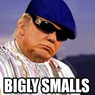Illustration for article titled 10 Hilarious Memes That Defined This Horrible Election Season